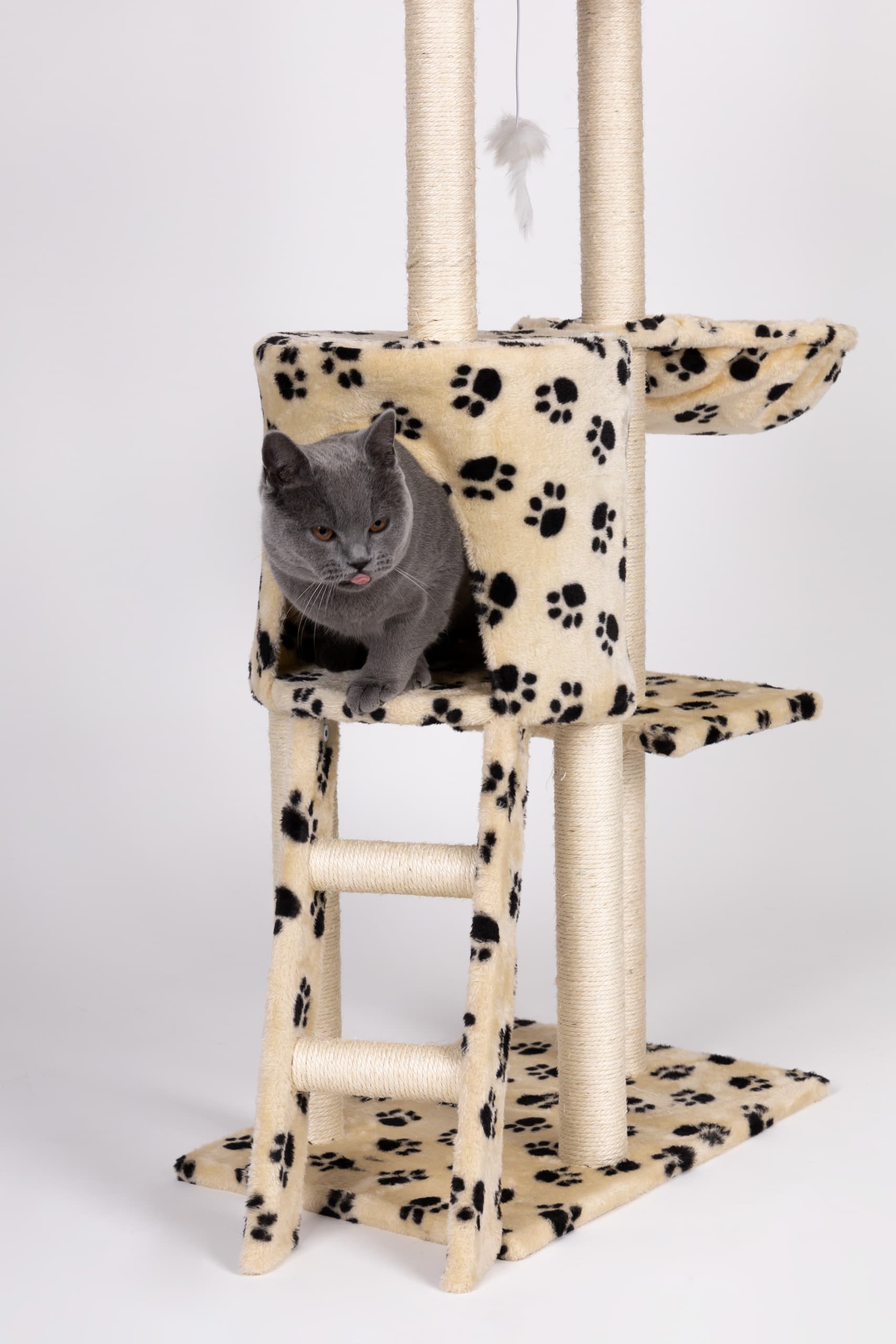 Drapak dla kota domek drzewo legowisko 138 cm XL odciski łapek Petsi