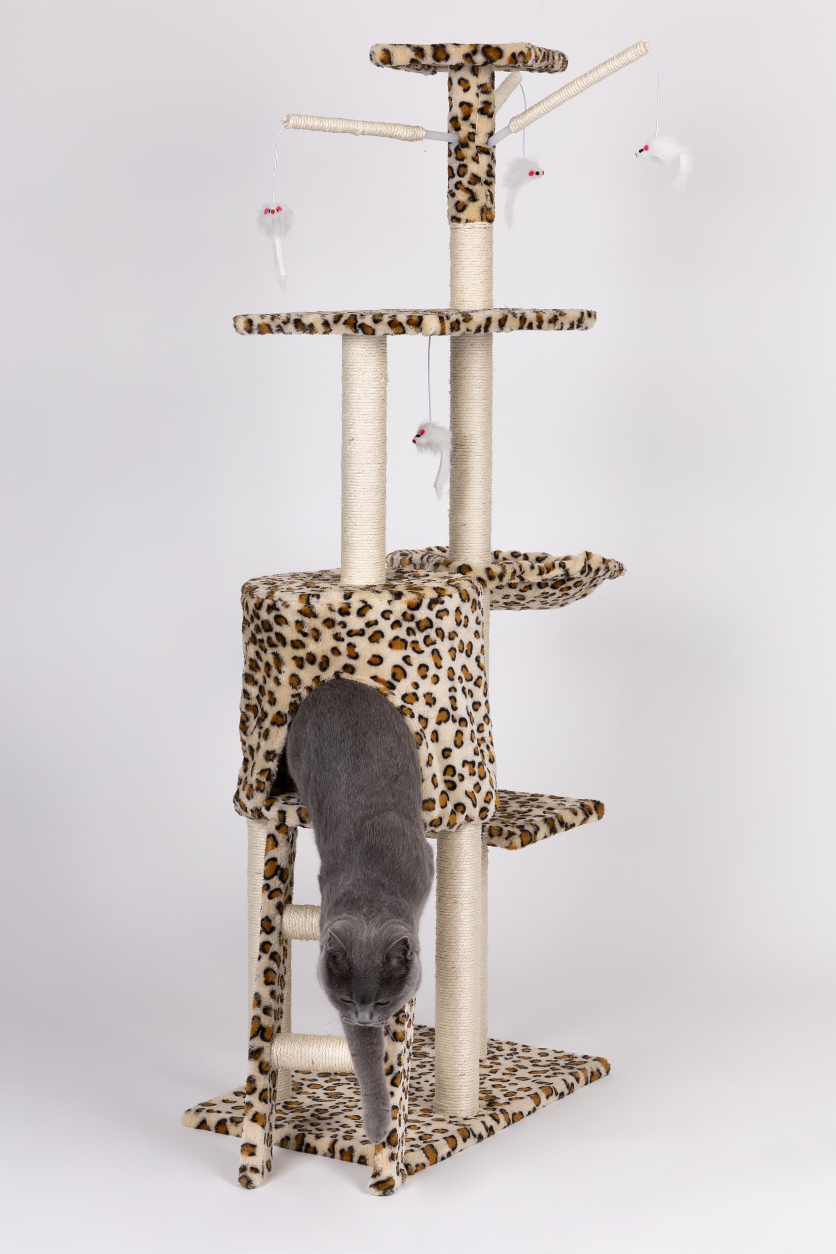 Drapak dla kota domek drzewo legowisko 138 cm XL panterka Petsi